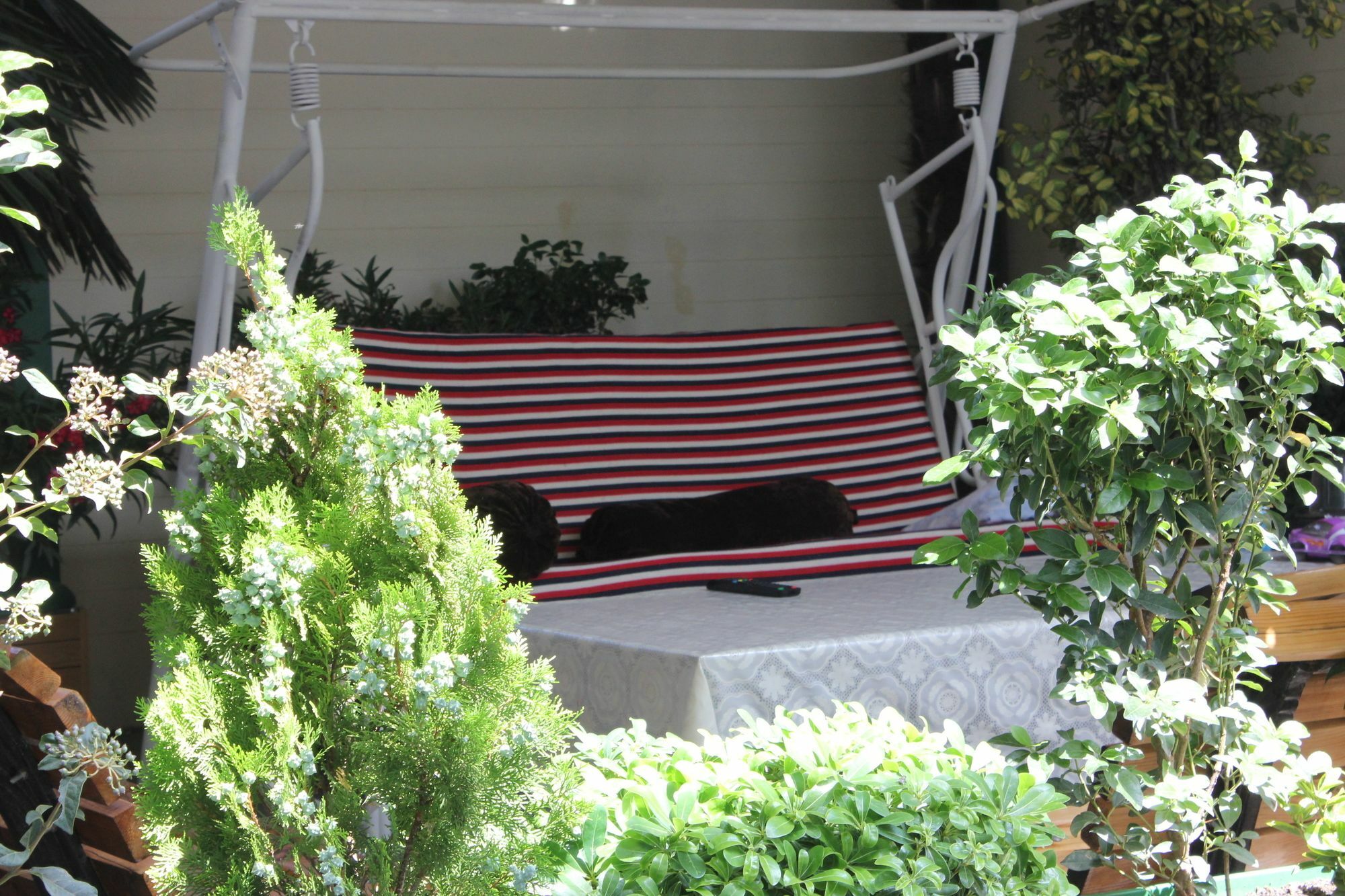 Vedzisi Garden Hotel Tbilisi Exteriér fotografie